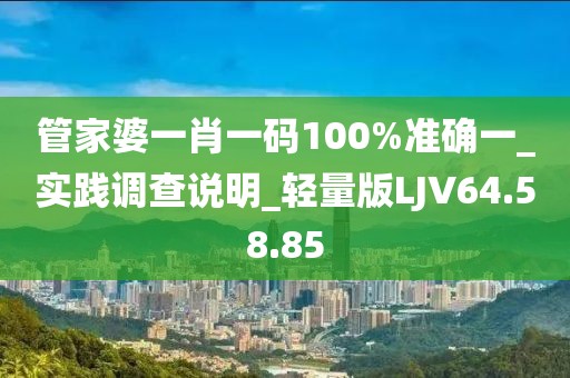 管家婆一肖一码100%准确一_实践调查说明_轻量版LJV64.58.85