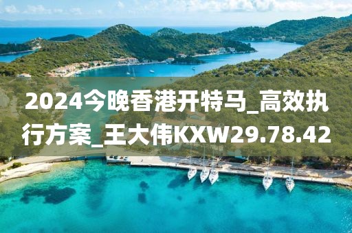 2024今晚香港开特马_高效执行方案_王大伟KXW29.78.42