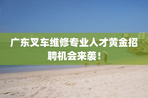 广东叉车维修专业人才黄金招聘机会来袭！