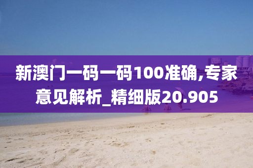 新澳门一码一码100准确,专家意见解析_精细版20.905