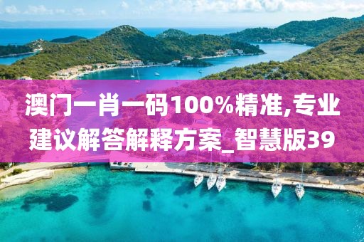 澳门一肖一码100%精准,专业建议解答解释方案_智慧版39
