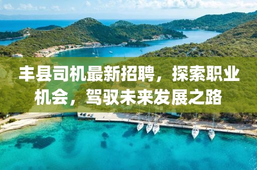 丰县司机最新招聘，探索职业机会，驾驭未来发展之路