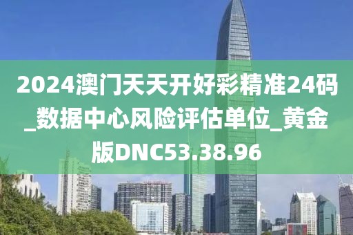 2024澳门天天开好彩精准24码_数据中心风险评估单位_黄金版DNC53.38.96