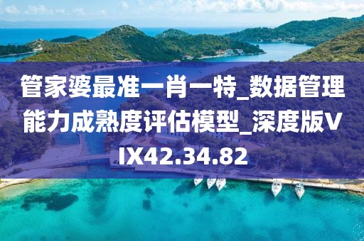 管家婆最准一肖一特_数据管理能力成熟度评估模型_深度版VIX42.34.82