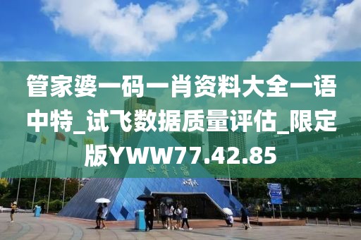 管家婆一码一肖资料大全一语中特_试飞数据质量评估_限定版YWW77.42.85