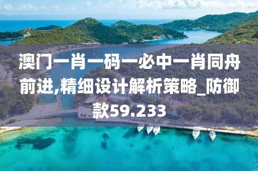 澳门一肖一码一必中一肖同舟前进,精细设计解析策略_防御款59.233
