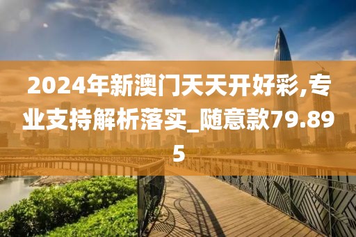 2024年新澳门天天开好彩,专业支持解析落实_随意款79.895