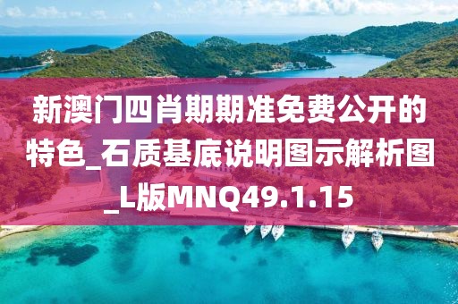 新澳门四肖期期准免费公开的特色_石质基底说明图示解析图_L版MNQ49.1.15