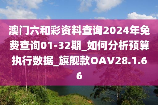 澳门六和彩资料查询2024年免费查询01-32期_如何分析预算执行数据_旗舰款OAV28.1.66