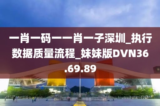 一肖一码一一肖一子深圳_执行数据质量流程_妹妹版DVN36.69.89