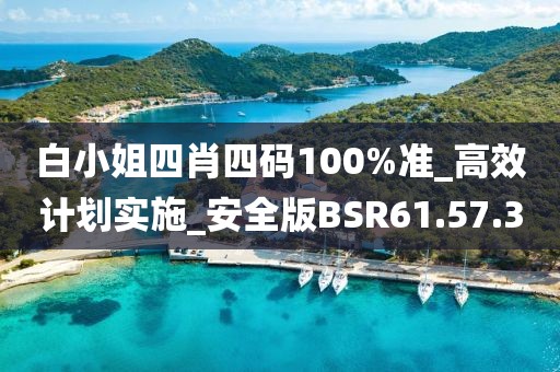 白小姐四肖四码100%准_高效计划实施_安全版BSR61.57.3