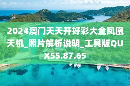 2024澳门天天开好彩大全凤凰天机_照片解析说明_工具版QUX55.87.65