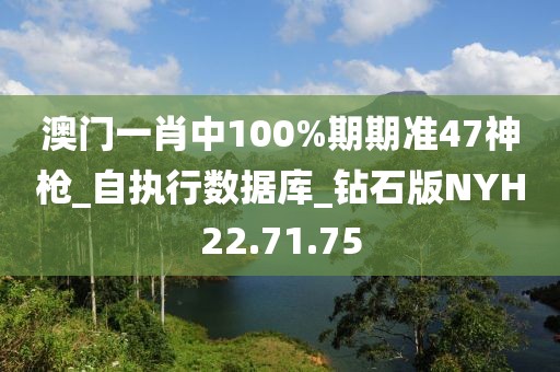 澳门一肖中100%期期准47神枪_自执行数据库_钻石版NYH22.71.75