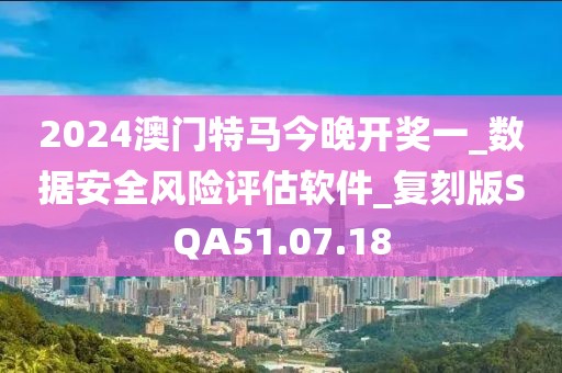 2024澳门特马今晚开奖一_数据安全风险评估软件_复刻版SQA51.07.18