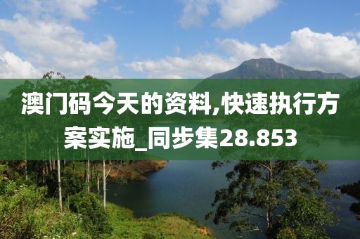 澳门码今天的资料,快速执行方案实施_同步集28.853