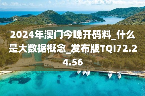 2024年澳门今晚开码料_什么是大数据概念_发布版TQI72.24.56