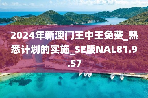 2024年新澳门王中王免费_熟悉计划的实施_SE版NAL81.9.57
