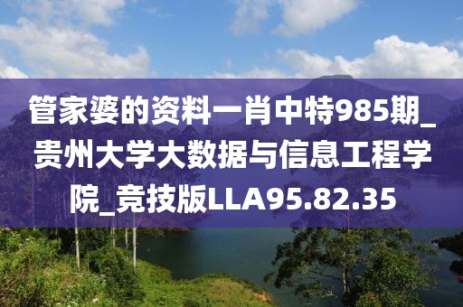 管家婆的资料一肖中特985期_贵州大学大数据与信息工程学院_竞技版LLA95.82.35