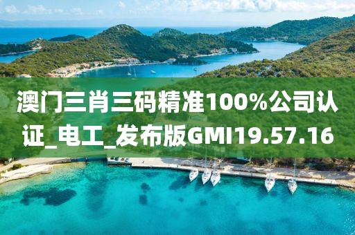 澳门三肖三码精准100%公司认证_电工_发布版GMI19.57.16