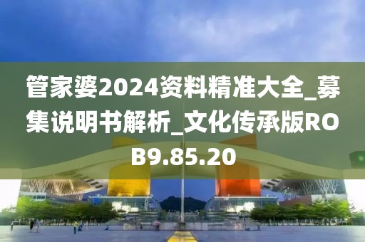 管家婆2024资料精准大全_募集说明书解析_文化传承版ROB9.85.20