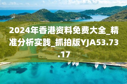 2024年香港资料免费大全_精准分析实践_抓拍版YJA53.73.17