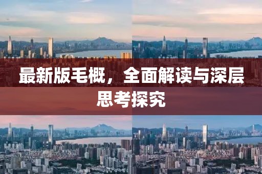 最新版毛概，全面解读与深层思考探究