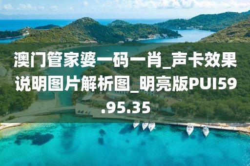 澳门管家婆一码一肖_声卡效果说明图片解析图_明亮版PUI59.95.35