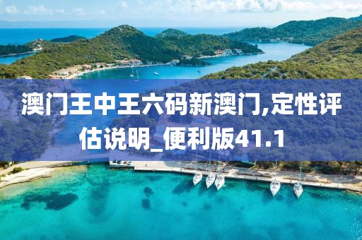 澳门王中王六码新澳门,定性评估说明_便利版41.1
