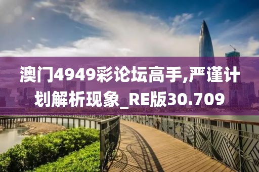 澳门4949彩论坛高手,严谨计划解析现象_RE版30.709