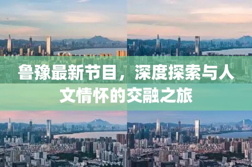 鲁豫最新节目，深度探索与人文情怀的交融之旅