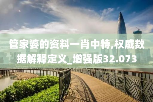 管家婆的资料一肖中特,权威数据解释定义_增强版32.073