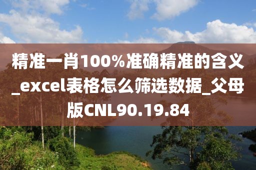 精准一肖100%准确精准的含义_excel表格怎么筛选数据_父母版CNL90.19.84