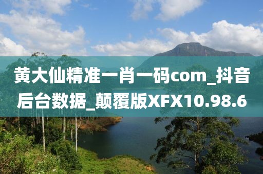 黄大仙精准一肖一码com_抖音后台数据_颠覆版XFX10.98.60
