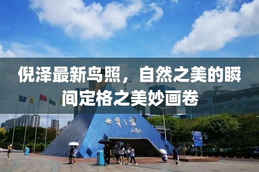 倪泽最新鸟照，自然之美的瞬间定格之美妙画卷