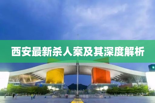 西安最新杀人案及其深度解析
