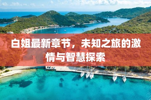 白姐最新章节，未知之旅的激情与智慧探索