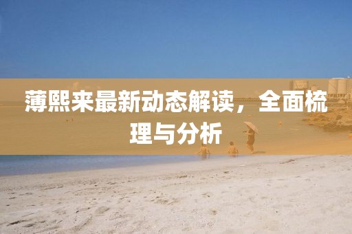 薄熙来最新动态解读，全面梳理与分析
