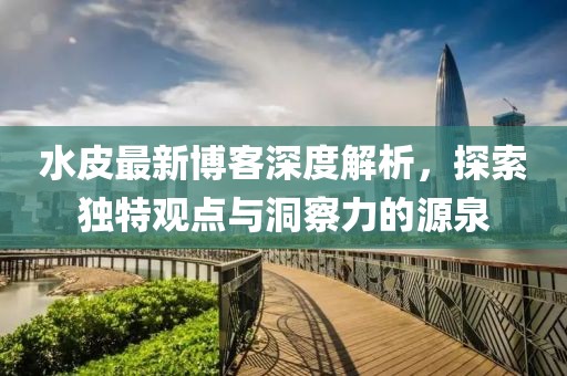 水皮最新博客深度解析，探索独特观点与洞察力的源泉