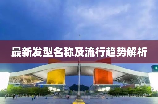 最新发型名称及流行趋势解析