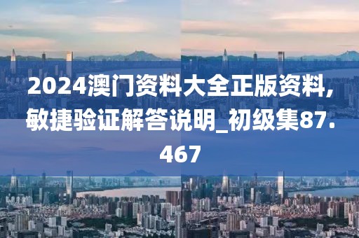 2024澳门资料大全正版资料,敏捷验证解答说明_初级集87.467