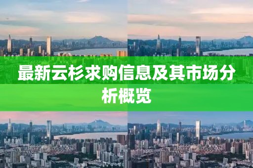 最新云杉求购信息及其市场分析概览