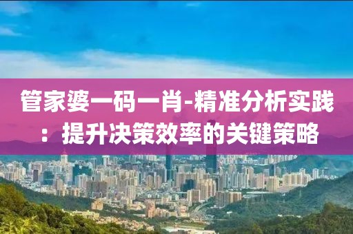 管家婆一码一肖-精准分析实践：提升决策效率的关键策略
