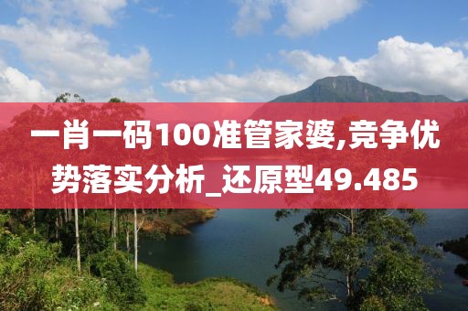 一肖一码100准管家婆,竞争优势落实分析_还原型49.485
