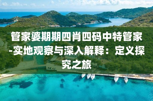 管家婆期期四肖四码中特管家-实地观察与深入解释：定义探究之旅