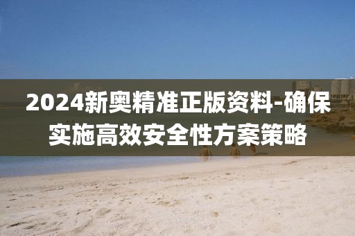 2024新奥精准正版资料-确保实施高效安全性方案策略