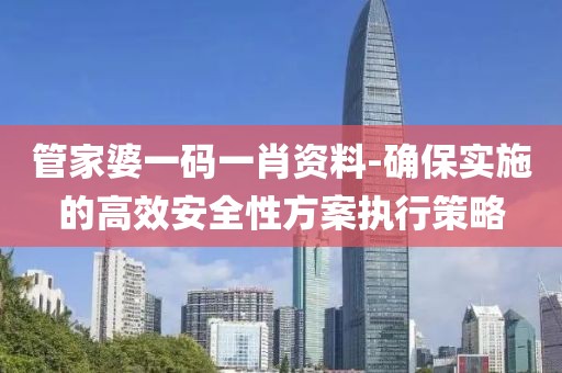 管家婆一码一肖资料-确保实施的高效安全性方案执行策略