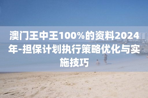 澳门王中王100%的资料2024年-担保计划执行策略优化与实施技巧