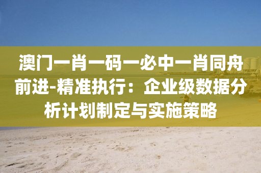 澳门一肖一码一必中一肖同舟前进-精准执行：企业级数据分析计划制定与实施策略