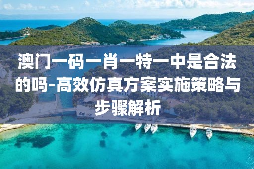 澳门一码一肖一特一中是合法的吗-高效仿真方案实施策略与步骤解析