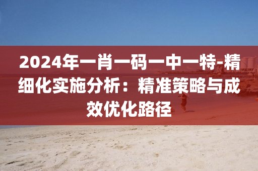 2024年一肖一码一中一特-精细化实施分析：精准策略与成效优化路径